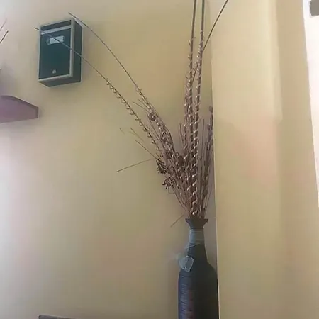 La Posa Auberge de jeunesse *